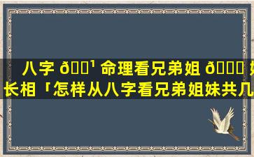 八字 🌹 命理看兄弟姐 🐛 妹长相「怎样从八字看兄弟姐妹共几个,排行」